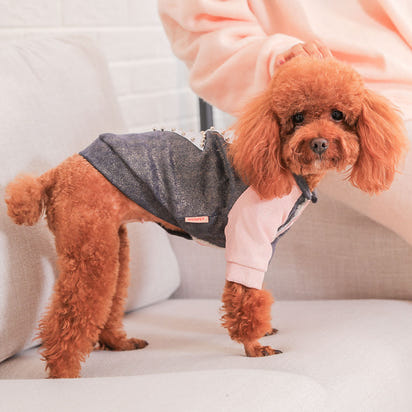 Small dog clothes cotton coat