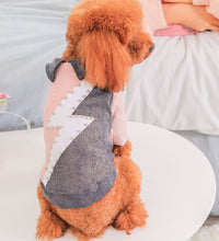 Small dog clothes cotton coat