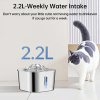 2.2L Stainless Steel Pet Cat Water Fountain Dogs And Cats Water Feeder