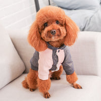 Small dog clothes cotton coat