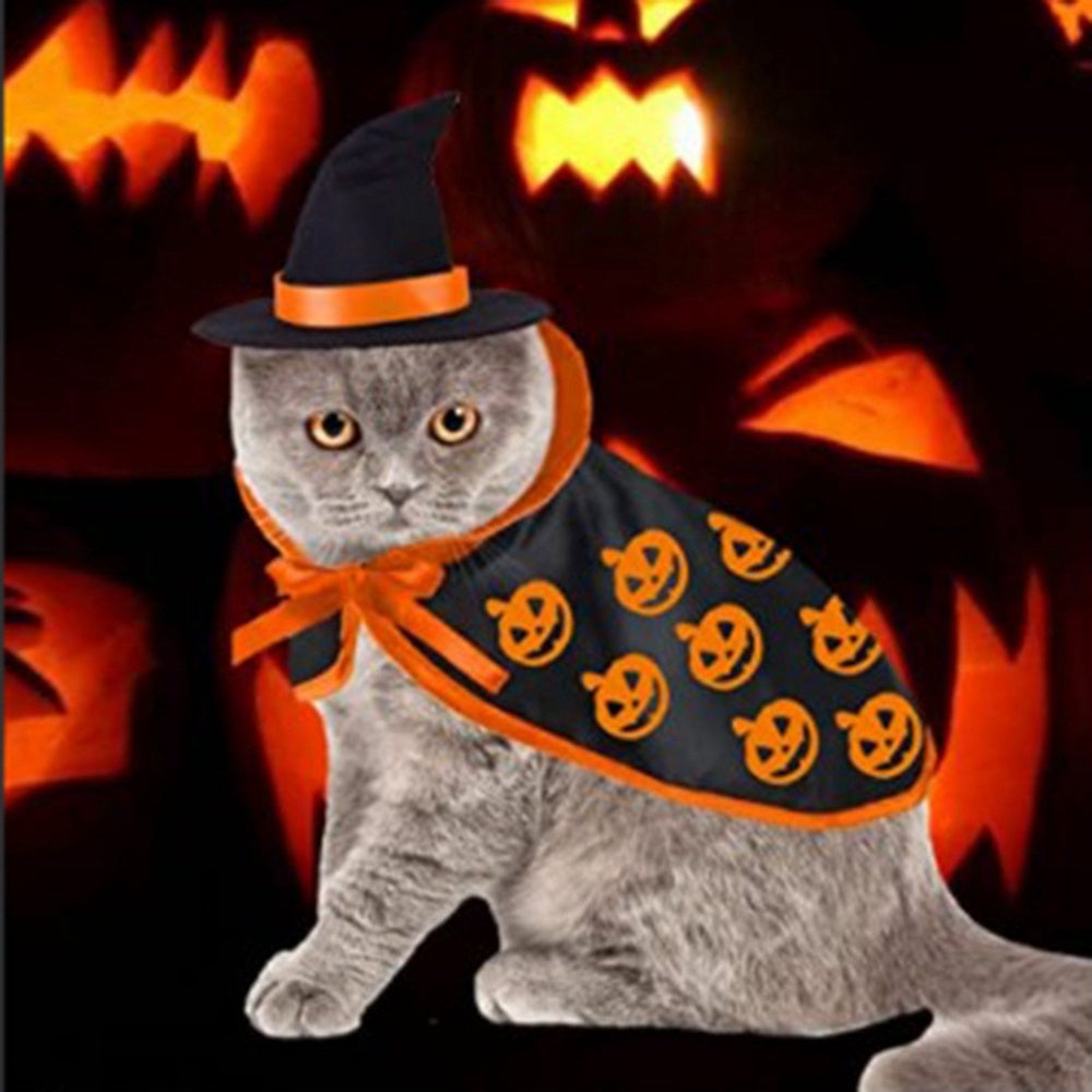 Cape Hat Set Dogs Cute Costume