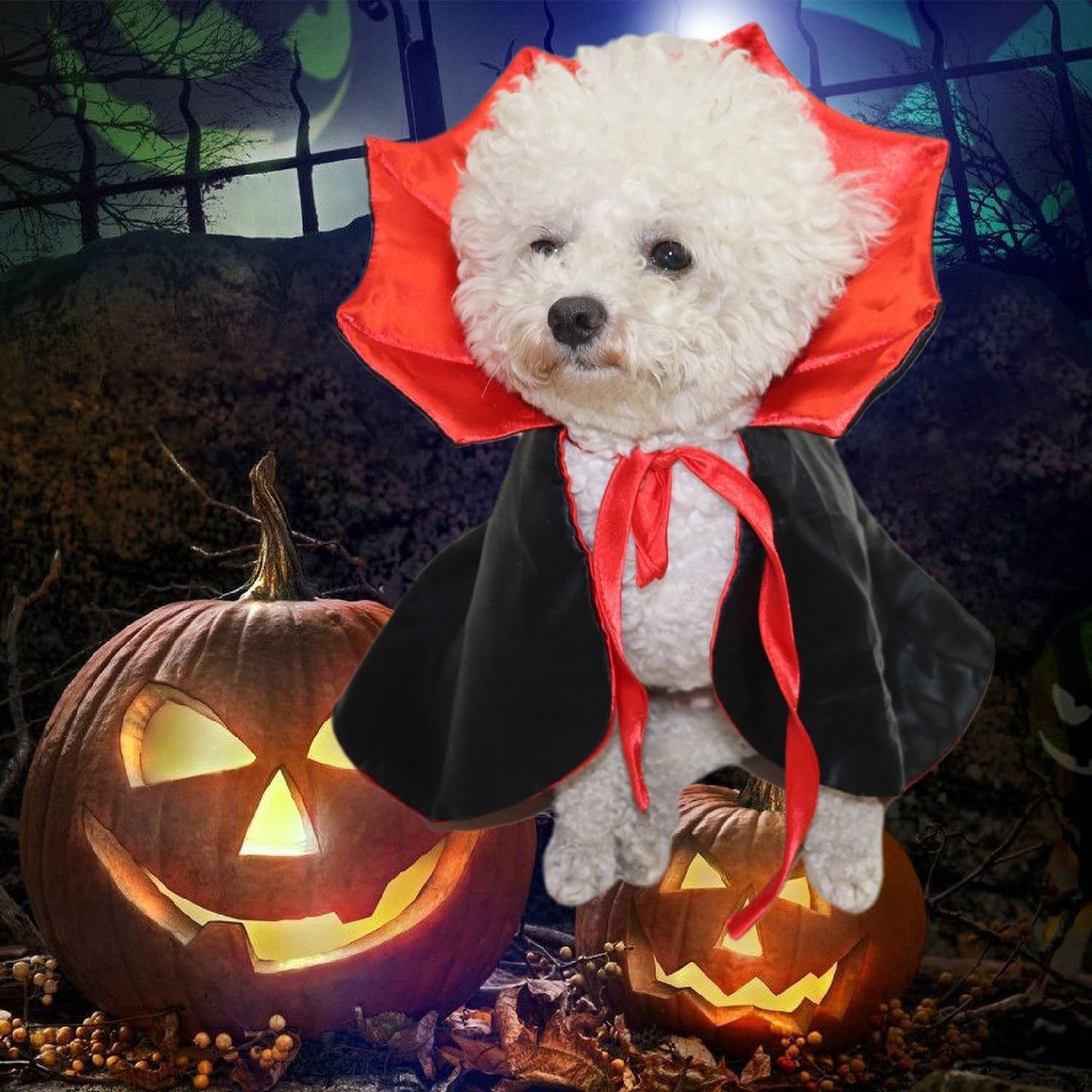 Cute Halloween Pet Costumes Cosplay