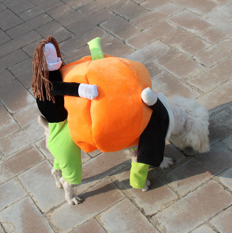 Pumpkin Dog Clothes
