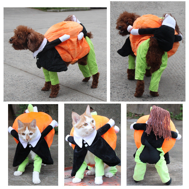 Pumpkin Dog Clothes