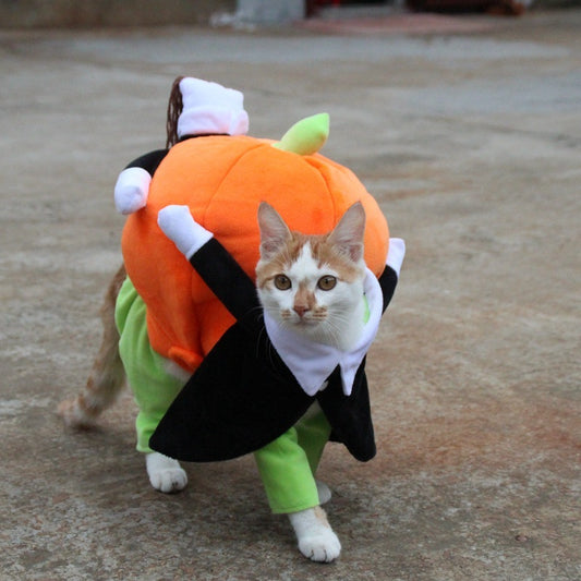 Pumpkin Dog Clothes