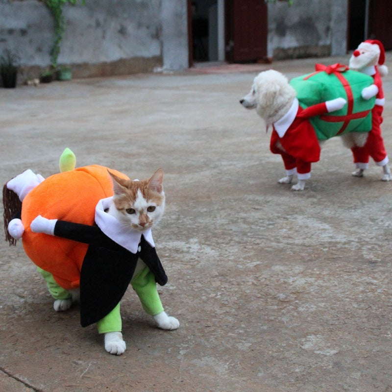 Pumpkin Dog Clothes