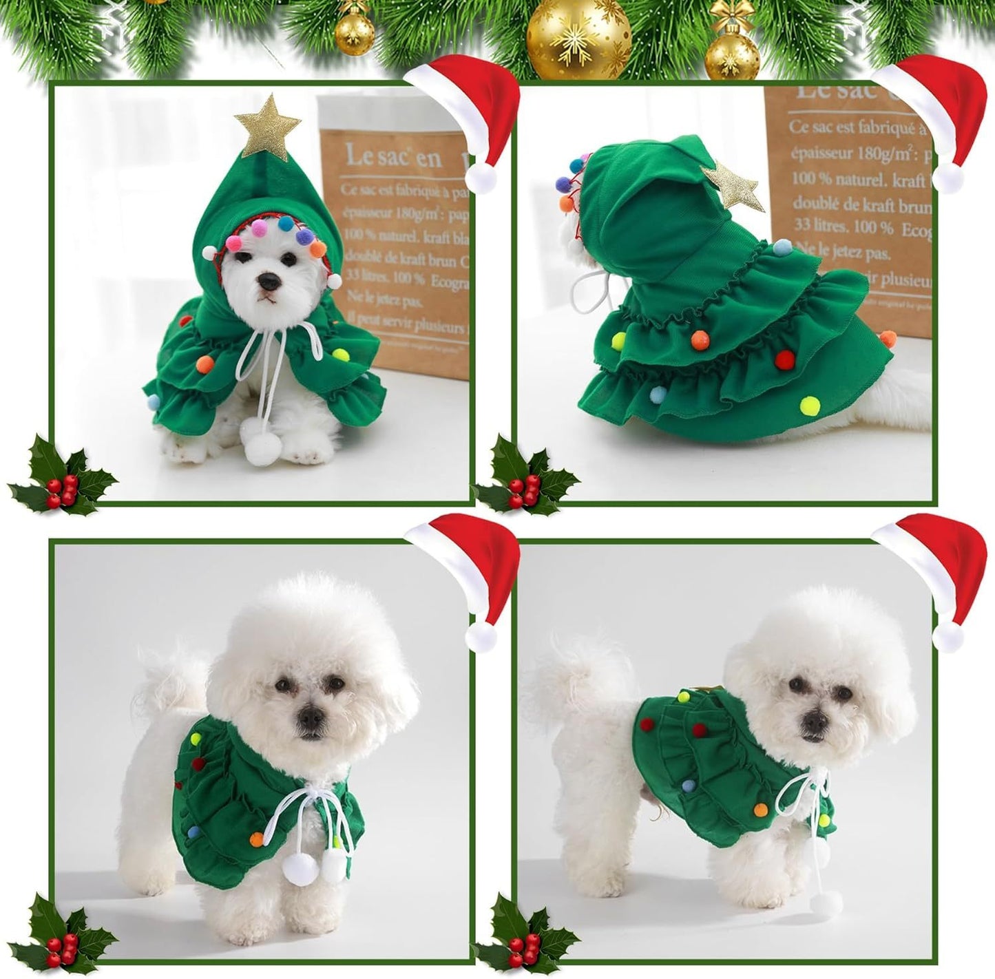 Cat Christmas Outfit Cat Kitten Christmas