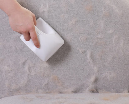 New Rolling Hair Remover Pet Cats Clean The Floor