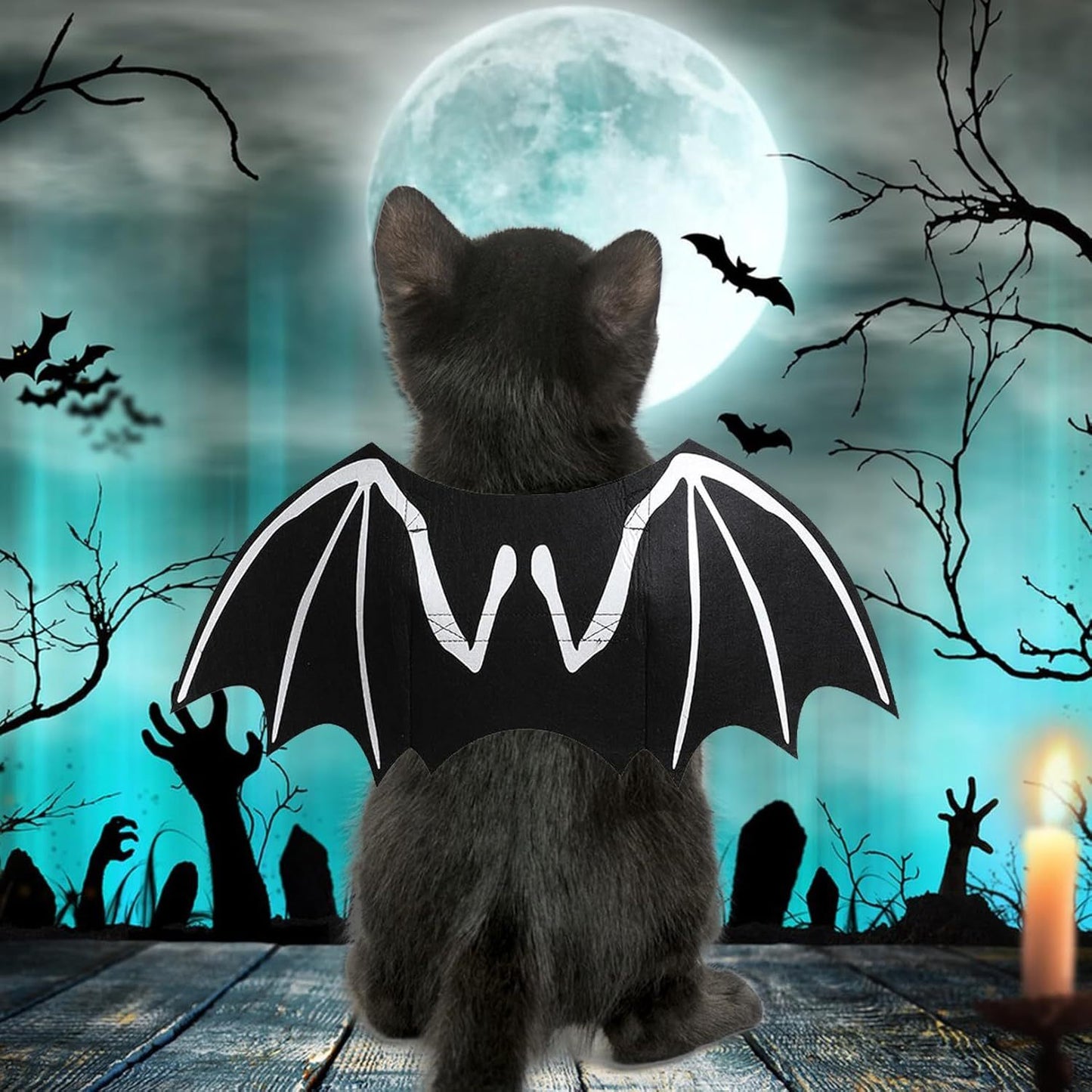 Bat Wings Pets Cosplay Costumes Dress Up