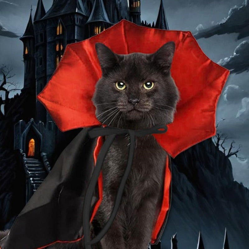 Cute Halloween Pet Costumes Cosplay