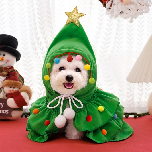 Cat Christmas Outfit Cat Kitten Christmas
