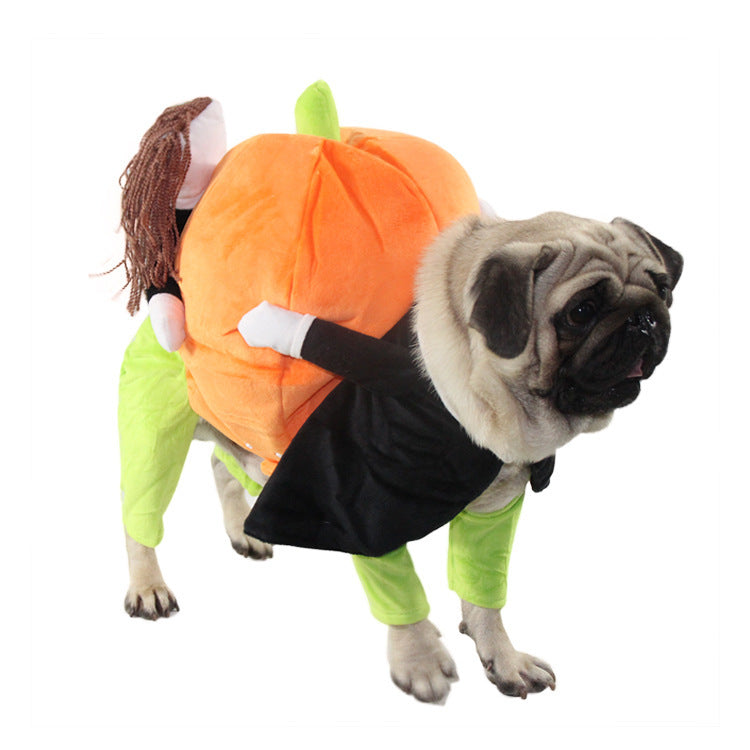 Pumpkin Dog Clothes