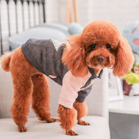 Small dog clothes cotton coat