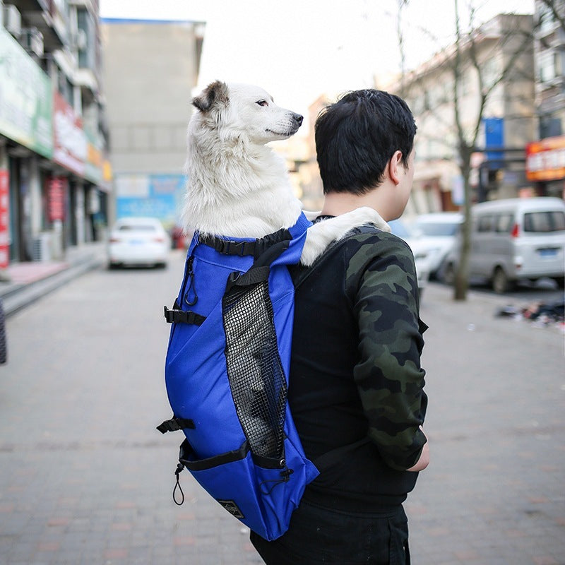 Pet Carrier Bag