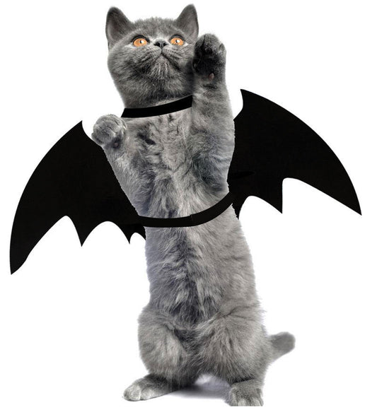 Bat Wing Pet Cosplay