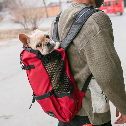 Pet Carrier Bag