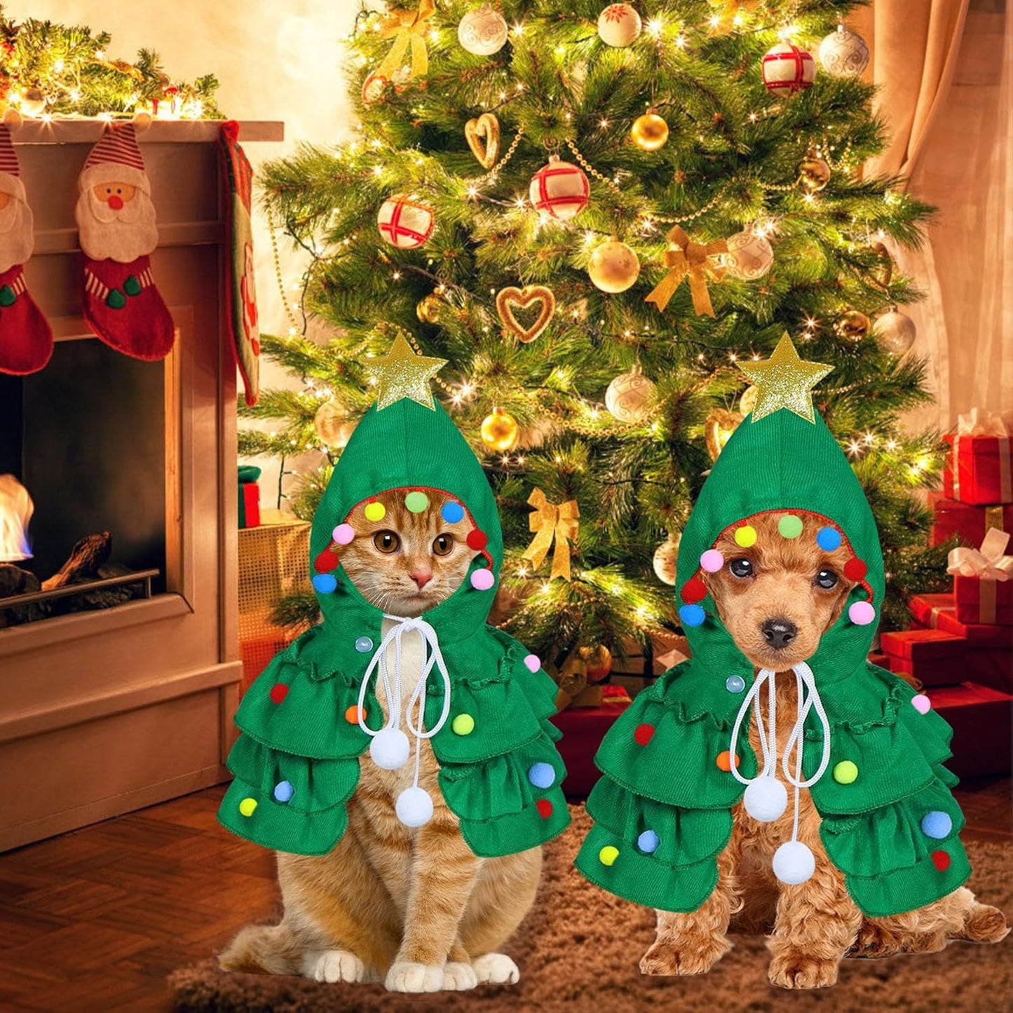 Cat Christmas Outfit Cat Kitten Christmas