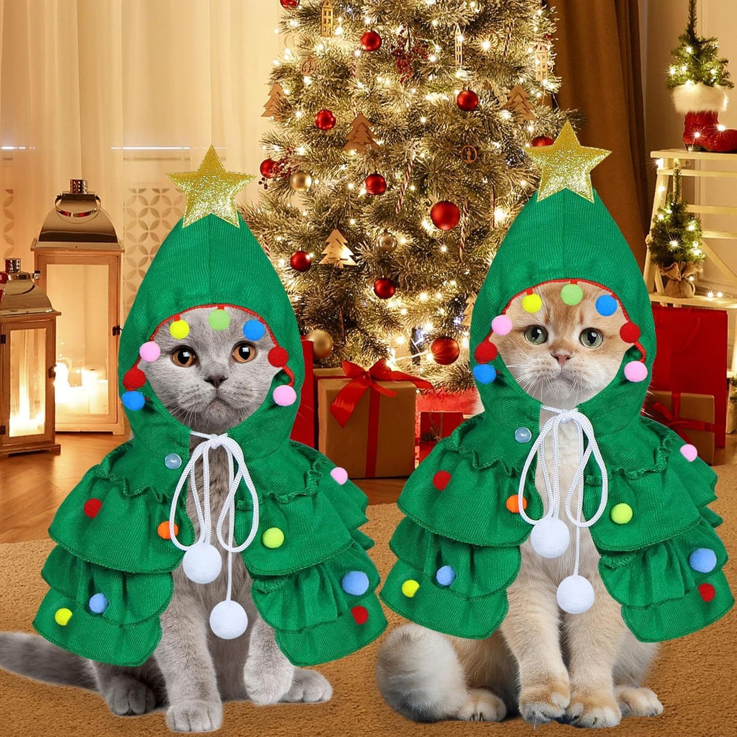 Cat Christmas Outfit Cat Kitten Christmas