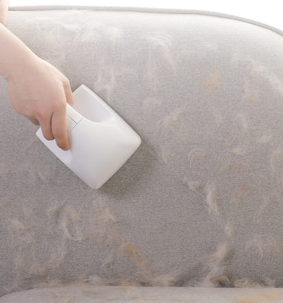 New Rolling Hair Remover Pet Cats Clean The Floor