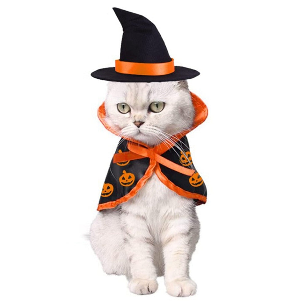 Cape Hat Set Dogs Cute Costume