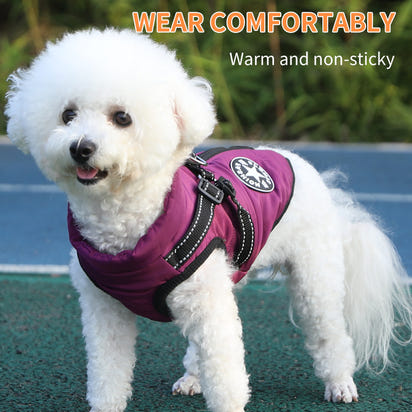 Pet Warm Dogs Cotton Coats With Thickened Fleece