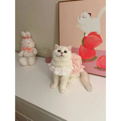 Pet Cat Dog Cute Macaron Pumpkin Dress