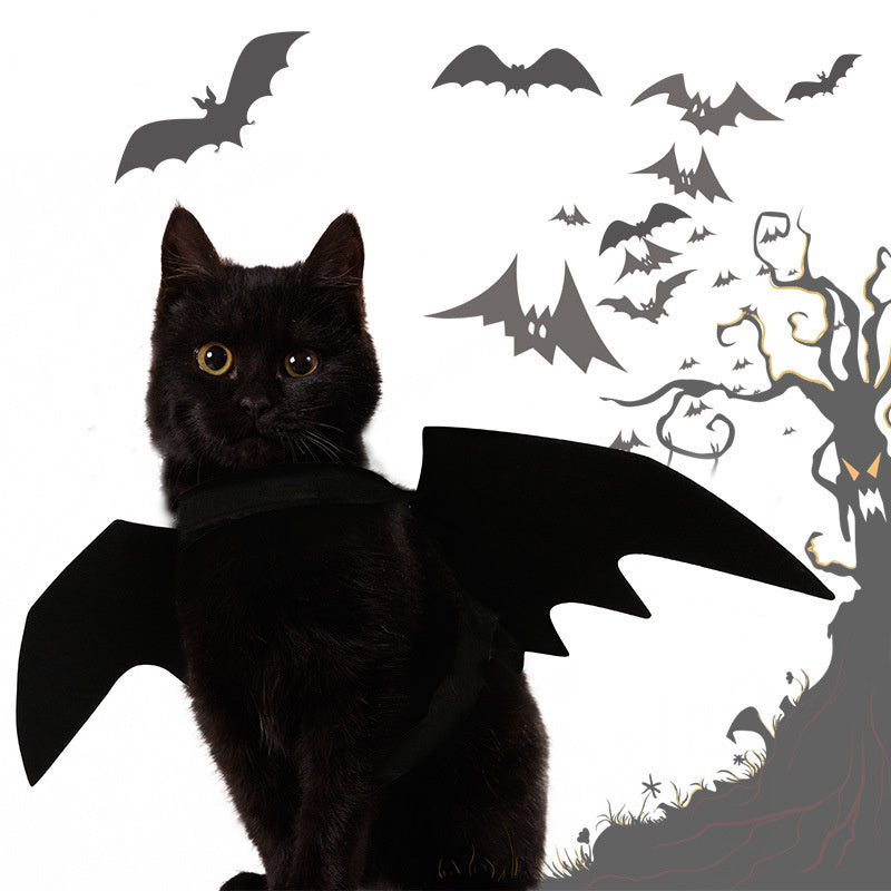 Bat Wing Pet Cosplay