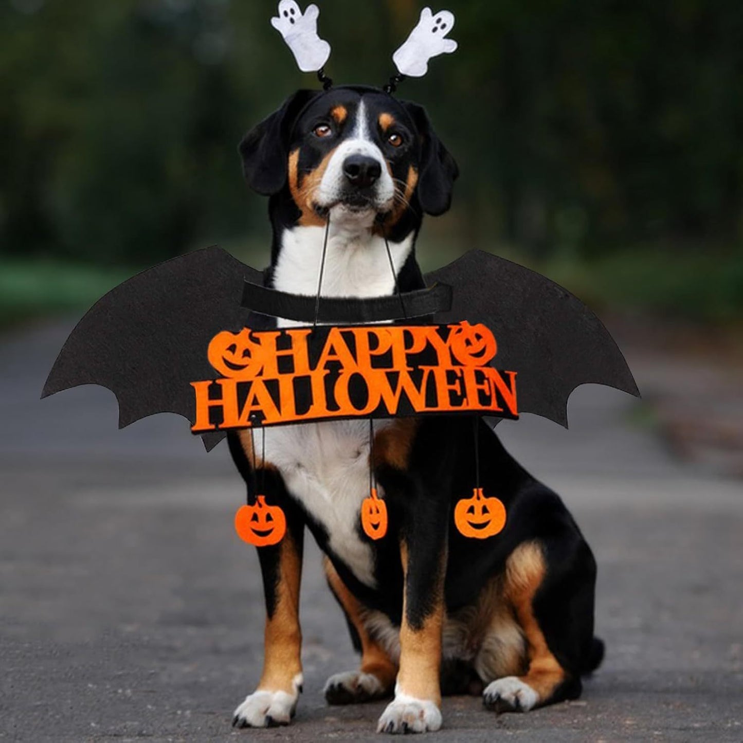 Bat Wings Pets Cosplay Costumes Dress Up