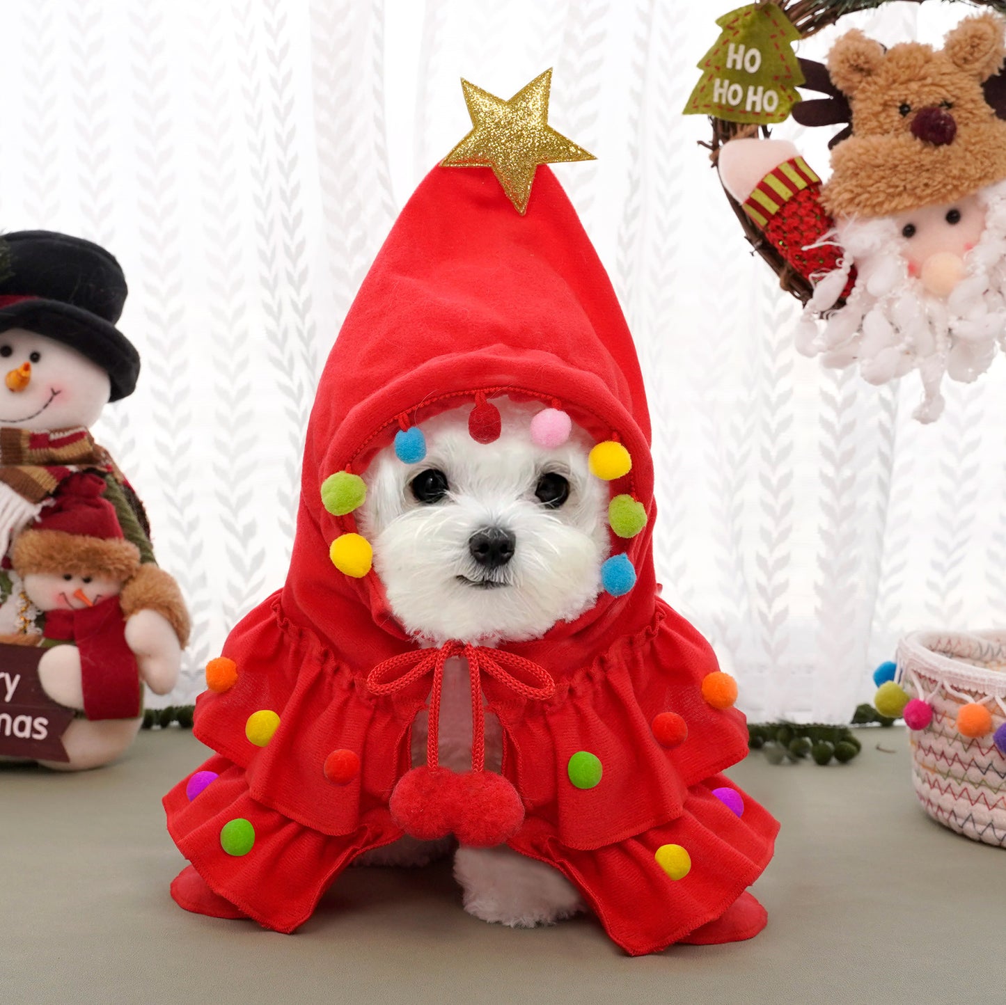 Cat Christmas Outfit Cat Kitten Christmas